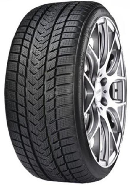 Picture of GRIPMAX 225/50 R19 PRO WINTER XL 100V